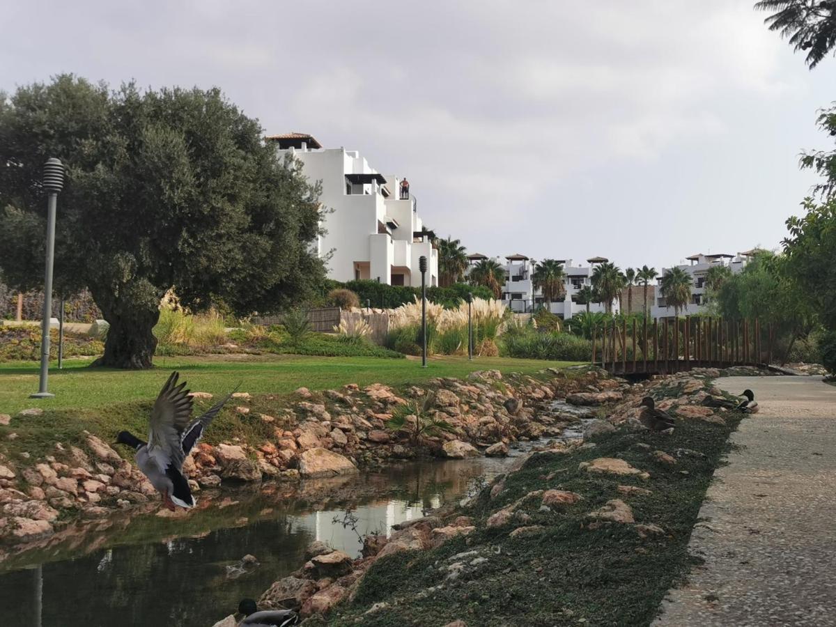 Sol Y Alma Mediterranean Apartment Vera Exteriör bild